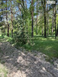 ������ �������� ������ ��������������������� �����������, ����� 8 �� ���� 12