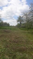 ������ �������� ������ � �������� ³�����, �. �������� ���� 4