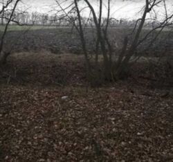 ��������� ������ ³�����, ³�������, �������������, ���������� ���� ���� 3