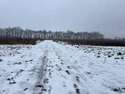 ������ �������� ������ �� ������� ��������, ����� 9 ����� ���� 4