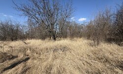 ������ �������� ������ �� ������� ��������, ����� 25.81 ����� ���� 2