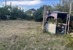 ������ �������� ������ �� ������� �������� �� 1-� ����� ��������, ����� 7 ����� ���� 3