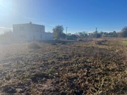 Продаж земельної ділянки, Тяжилів фото 2 Продаж земельної ділянки, Тяжилів фото 2