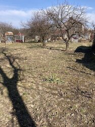 Продаж земельної ділянки під житлову забудову на вул. Черешнева, площа 6 соток фото 2 Продаж земельної ділянки під житлову забудову на вул. Черешнева, площа 6 соток фото 2