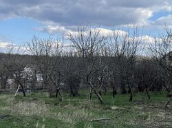 Продаж земельної ділянки під житлову забудову на вул. Забуснянська, площа 12.5 сотки фото 2 Продаж земельної ділянки під житлову забудову на вул. Забуснянська, площа 12.5 сотки фото 2