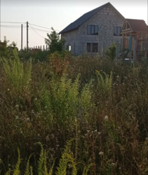 ������ �������� ������ �� ������� �������� �� ����. 3-� ������� ��������, ����� 9 ����� ���� 10