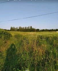 ������ �������� ������ �� ������� �������� �� �������, ����� 17.5 ����� ���� 2