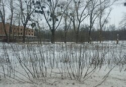 Продаж земельної ділянки комерційного призначення, площа 50 соток фото 1 Продаж земельної ділянки комерційного призначення, площа 50 соток фото 1