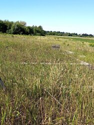 Продаж земельної ділянки під житлову забудову на вул. Польова, площа 8.63 сотки фото 2 Продаж земельної ділянки під житлову забудову на вул. Польова, площа 8.63 сотки фото 2