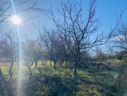 Продається ділянка Гавришівка, Вінницький, Вінницька фото 10 Продається ділянка Гавришівка, Вінницький, Вінницька фото 10