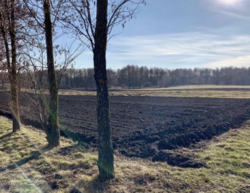 ������ �������� ������ �� ������� �������� � ���������� ���� 2