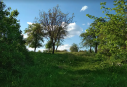 ��������� ������ ������� ������������� 41, �����, ³��������, ³������� ���� 1