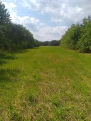 ��������� ������ ��������, �������, ³��������, ³������� ���� 2