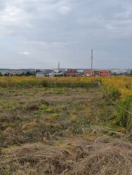 ������ �������� ������, ���. ���������, 6 ����� ���� 3