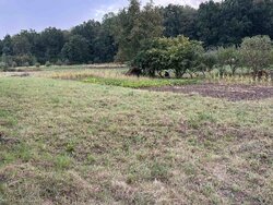 Продаж земельної ділянки сільськогосподарського призначення, площа 15.5 сотки фото 1 Продаж земельної ділянки сільськогосподарського призначення, площа 15.5 сотки фото 1