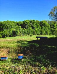 Продаж земельної ділянки під житлову забудову на вул. Кар’єрна, площа 10 соток фото 3 Продаж земельної ділянки під житлову забудову на вул. Кар’єрна, площа 10 соток фото 3