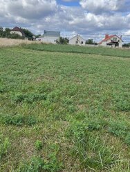 Продаж земельної ділянки під житлову забудову на вул. Яблунева, с. Бохоники, 10 соток фото 3 Продаж земельної ділянки під житлову забудову на вул. Яблунева, с. Бохоники, 10 соток фото 3