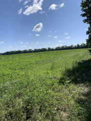 Продаж земельної ділянки, Тяжилів, 42 сот. фото 7 Продаж земельної ділянки, Тяжилів, 42 сот. фото 7