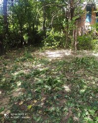 Продаж земельної ділянки під житлову забудову на вул. Бучми, площа 4.5 сотки фото 6 Продаж земельної ділянки під житлову забудову на вул. Бучми, площа 4.5 сотки фото 6