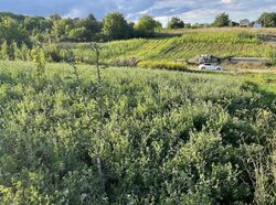 ������ �������� ������ �� ������� ��������, ����� 11 ����� ���� 4