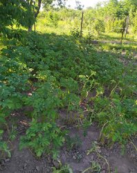     ,   '', ,  0.0501   4