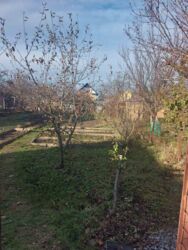 ��������� ������ ³�����, ³�������, �����������, ����� ���� 5