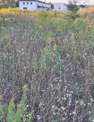 Продаж земельної ділянки під житлову забудову, площа 9 соток фото 6 Продаж земельної ділянки під житлову забудову, площа 9 соток фото 6