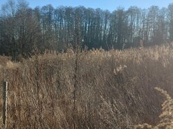 ������ �������� ������ ��������������������� �����������, ����� 12 ����� ���� 2