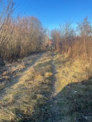 Дачна ділянка, 10 соток, с. Лукаа-Мелешківська фото 1 Дачна ділянка, 10 соток, с. Лукаа-Мелешківська фото 1