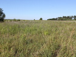 ������ �������� ������ �� ������� ��������, ����� 8 �����, ���. ��������� ���� 6