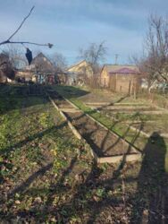 ��������� ������ ³�����, ³�������, �����������, ����� ���� 2