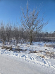 ������ �������� ������, ���������� ���� 2