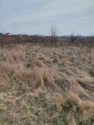 ��������� ������ ³����� �������, ³�����, ³�������, �������������, ������ ���� 4