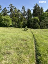 ������ �������� ������ ��������������������� �����������, ����� 8 �� ���� 10