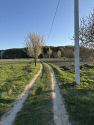 Ділянка під забудову 18 сот. фото 4 Ділянка під забудову 18 сот. фото 4