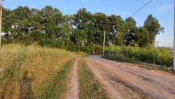 �������� ������ �����������, ( ������ ����) ���� 2