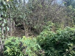 Продається ділянка Вінницька, Вінниця, Передмістя, Вінницькі Хутори, Незалежності фото 1 Продається ділянка Вінницька, Вінниця, Передмістя, Вінницькі Хутори, Незалежності фото 1