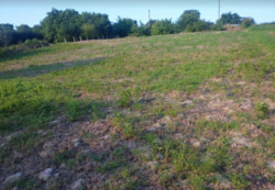 Продається ділянка сільсько-господарського призначення, с. Вінницькі Хутори фото 1 Продається ділянка сільсько-господарського призначення, с. Вінницькі Хутори фото 1