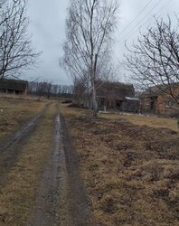 Продаж земельної ділянки під житлову забудову на Шевченка, площа 24.3 сотки фото 4 Продаж земельної ділянки під житлову забудову на Шевченка, площа 24.3 сотки фото 4