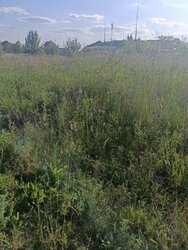 ������ �������� ������ ��������������������� ����������� �� ���. ����쳿 �������������, ����� 10 ����� ���� 1