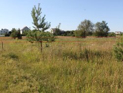 ������ �������� ������ �� ������� ��������, ����� 8 �����, ���. ��������� ���� 1