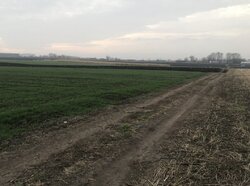 ������ �������� ������ ��������������������� ����������� �� ���. ���������, ����� 10 ����� ���� 3