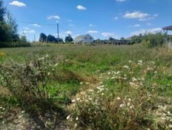 Продаж земельної ділянки, с. Якушинці фото 1 Продаж земельної ділянки, с. Якушинці фото 1