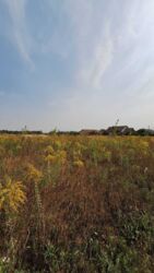 Продаж зем ділянки під житл. забудову, Тяжилів, вул. Вишивана, 5 сот фото 6 Продаж зем ділянки під житл. забудову, Тяжилів, вул. Вишивана, 5 сот фото 6