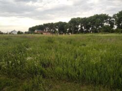 ��������� ������ �������, �����������, ³������� ���� 2