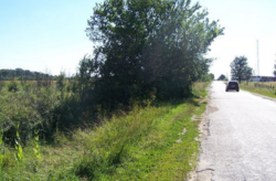 Продаж земельної ділянки комерційного призначення в селі Лука-Мелешківська, Вінницькій області, Коцюбинского улица, площа 214.48 сотки фото 4 Продаж земельної ділянки комерційного призначення в селі Лука-Мелешківська, Вінницькій області, Коцюбинского улица, площа 214.48 сотки фото 4