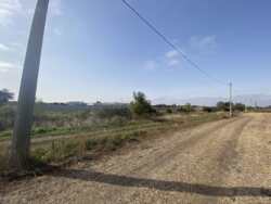 ������ ������ 4.2�� ���� 10