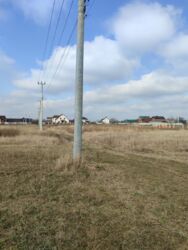 ��������� ������ �������, �����������, ³������� ���� 12