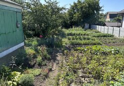 Продаж земельної ділянки під житлову забудову на вул. Виноградна 26, площа 5 соток фото 1 Продаж земельної ділянки під житлову забудову на вул. Виноградна 26, площа 5 соток фото 1