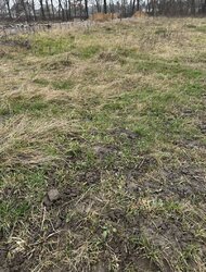 ������ �������� ������ �� ������� ��������, �. ��������, ���. ������,15 ���. ���� 3